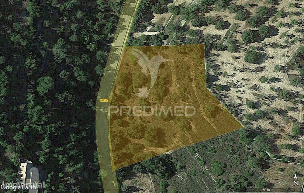 Terreno rústico em Alfontes - Boliqueime