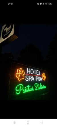 Hotel dla psów SPA PSA