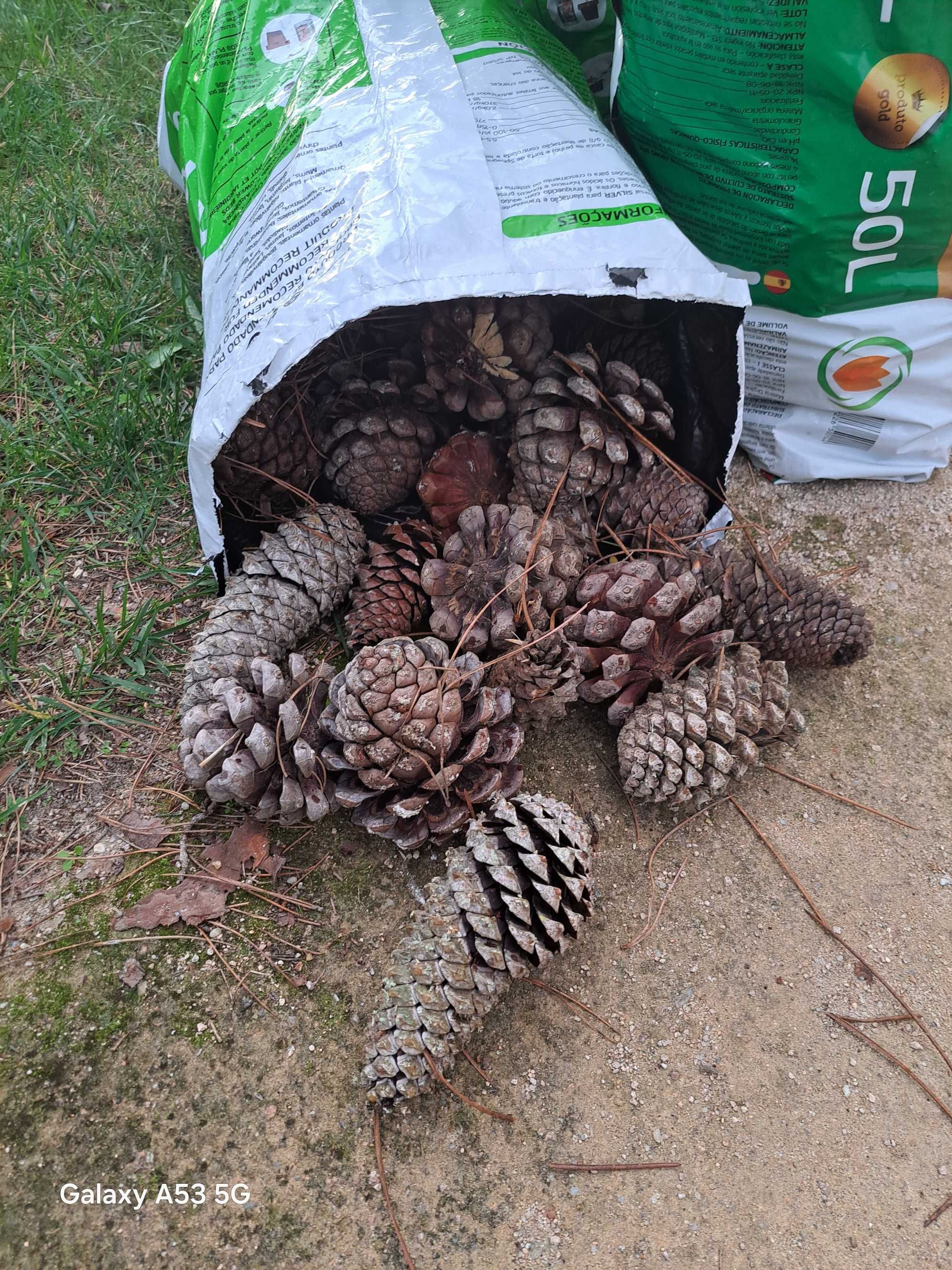 Saco de pinhas, 50 litros