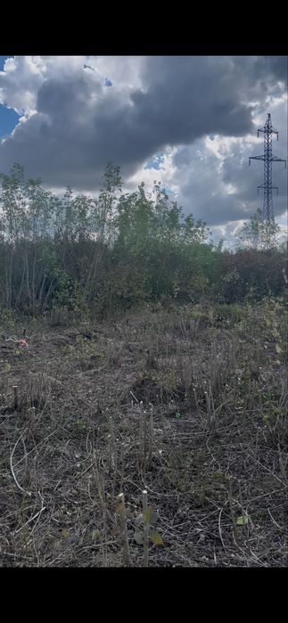 Розчистка ділянки під ключ,Розліснення,Зрізання висотних дерев