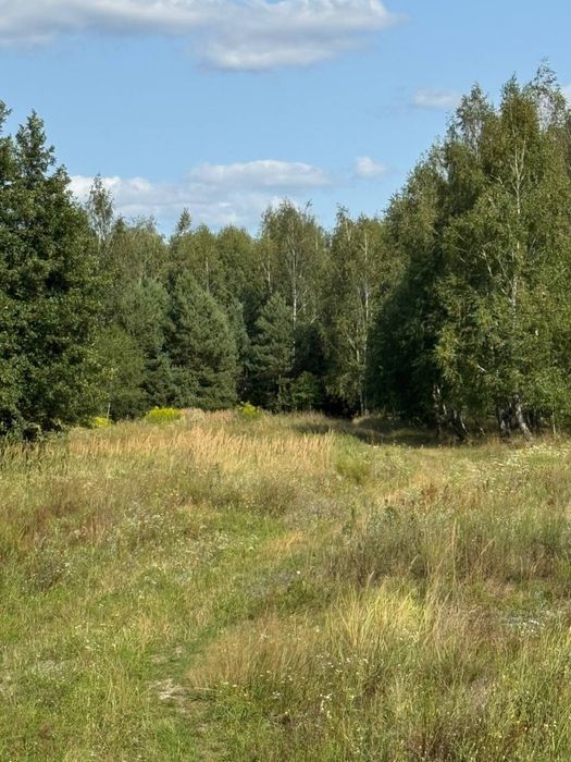 Продам земельну ділянку с. Калинівка 6,9 га