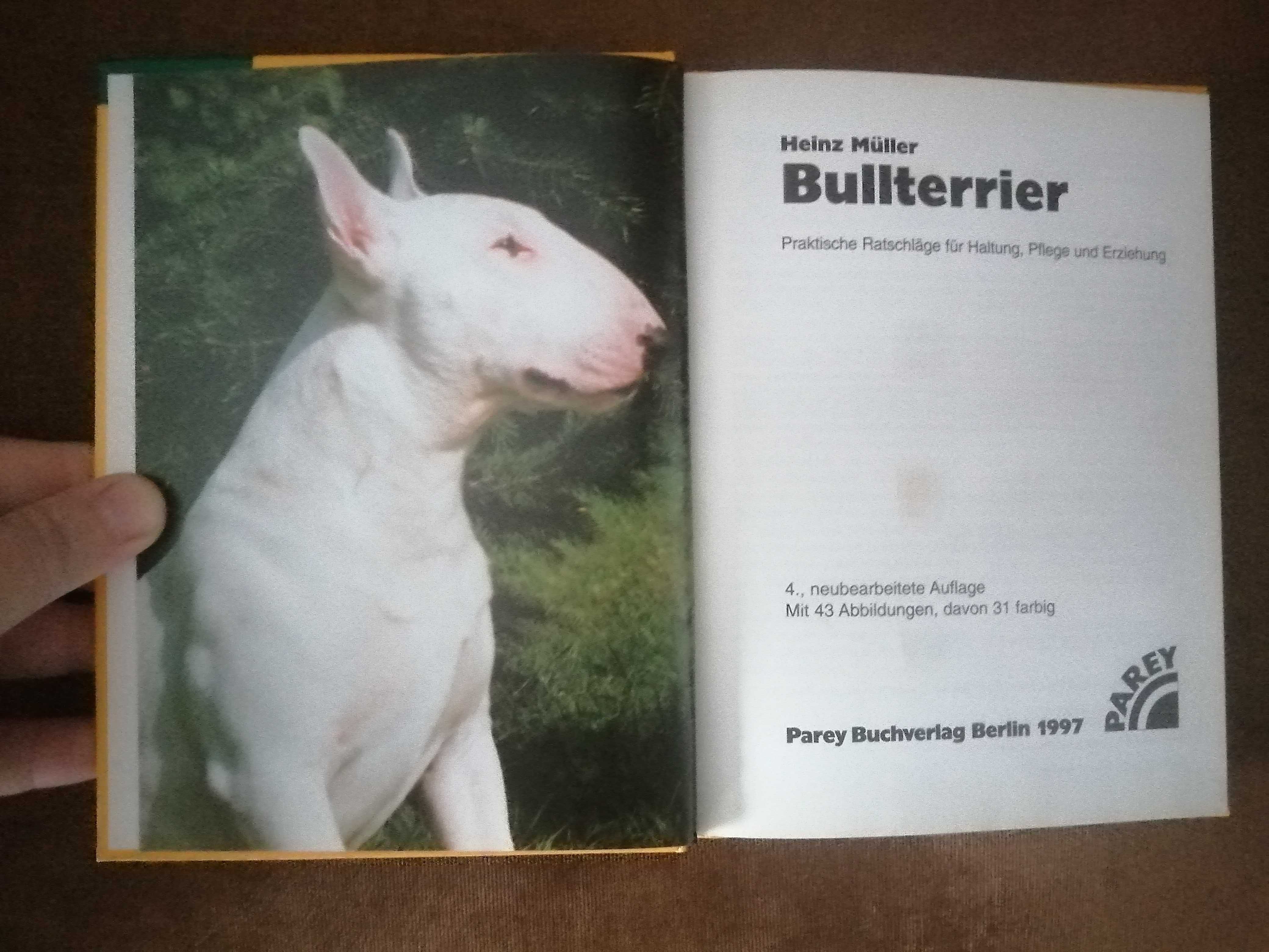 Bullterier Heinz Muller