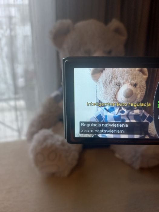 Sony Cyber-shot DSC-W370 używany