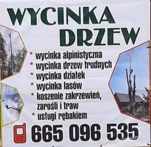 Wycinka Drzew Alpinistycznie Profesjonalnie, czyszczenie działek.