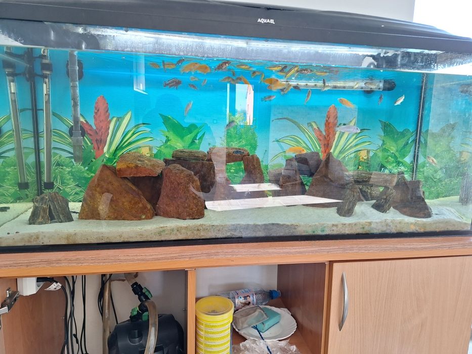 Sprzedam akwarium 240 l