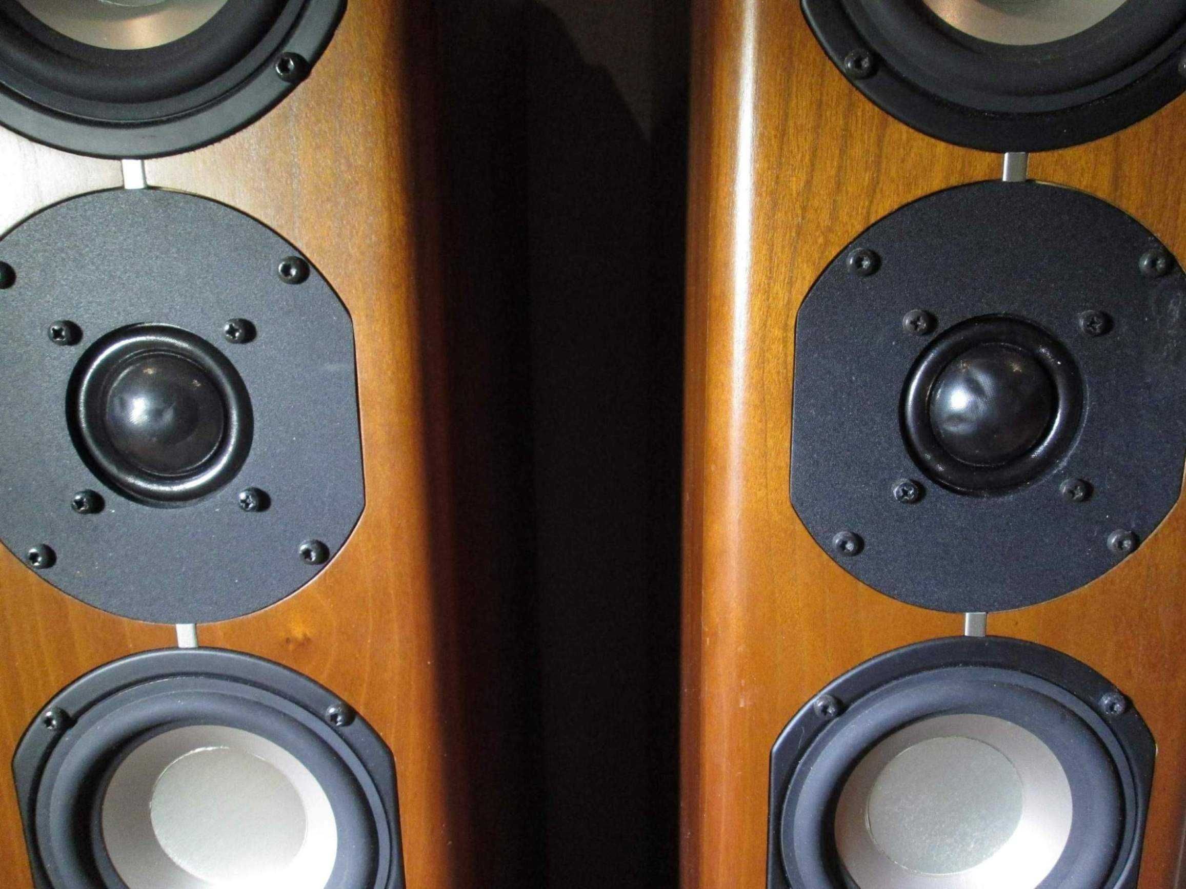 ASW Cantius 404 Germany 100/150W - Kolumny do bardzo lekkiego zadbania