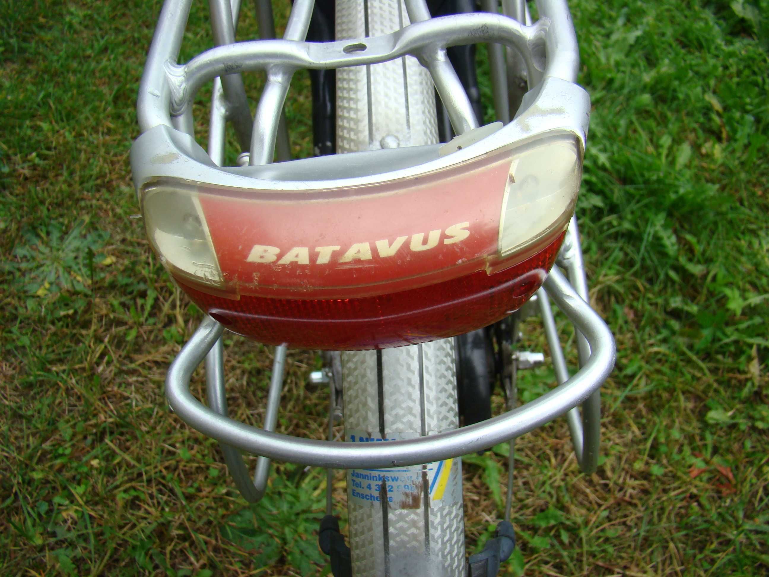 Rower   Batavus   Virente