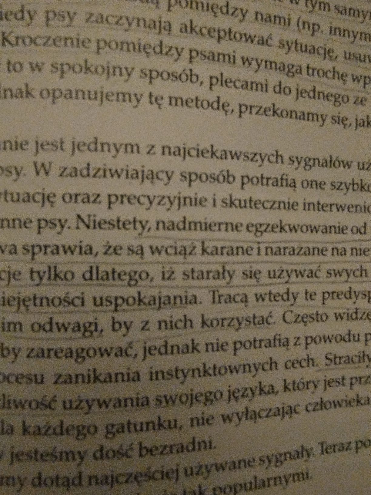 Książka Walter Swan "me 'n Henry"