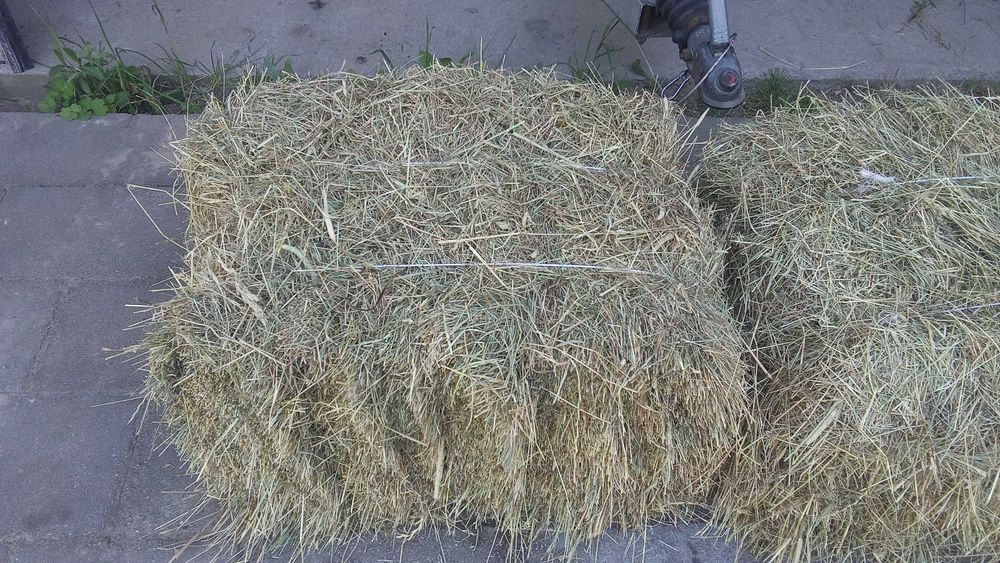 siano w kostkach 60 kostek transport