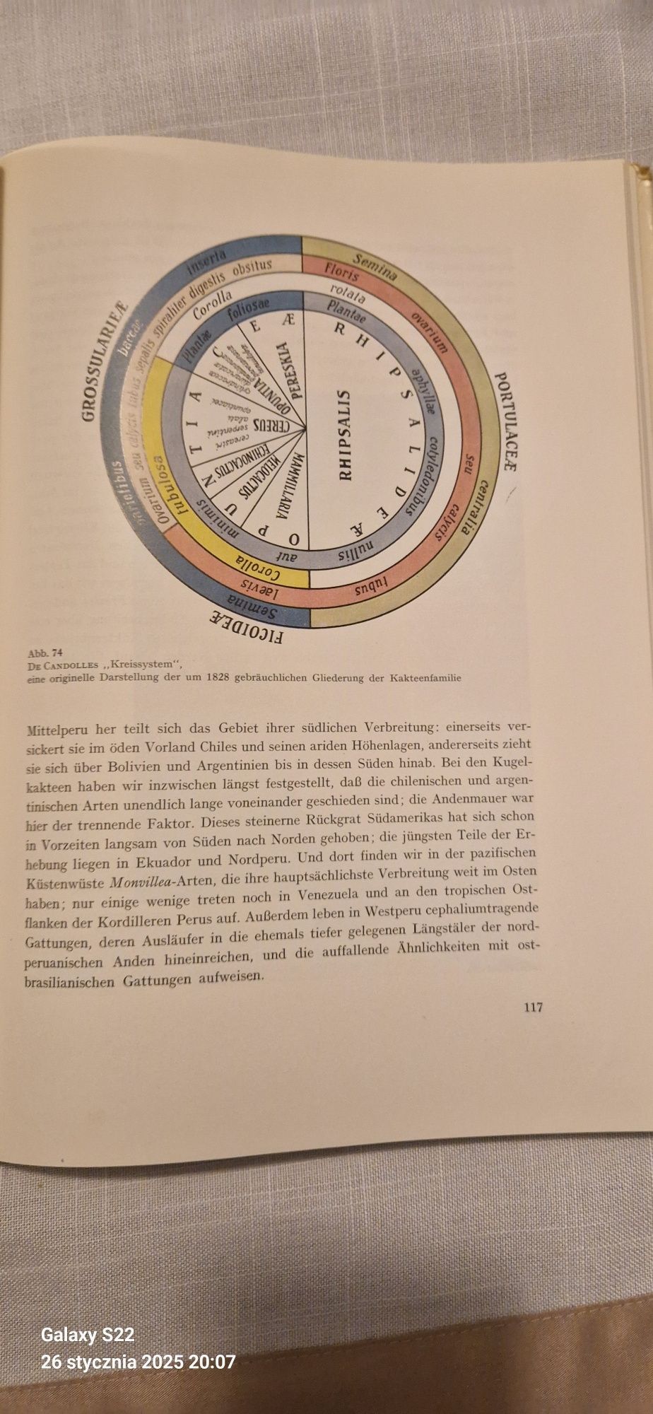 Kaktusy Kaktusy Wunderwelt Kakteen Curt Backeberg
