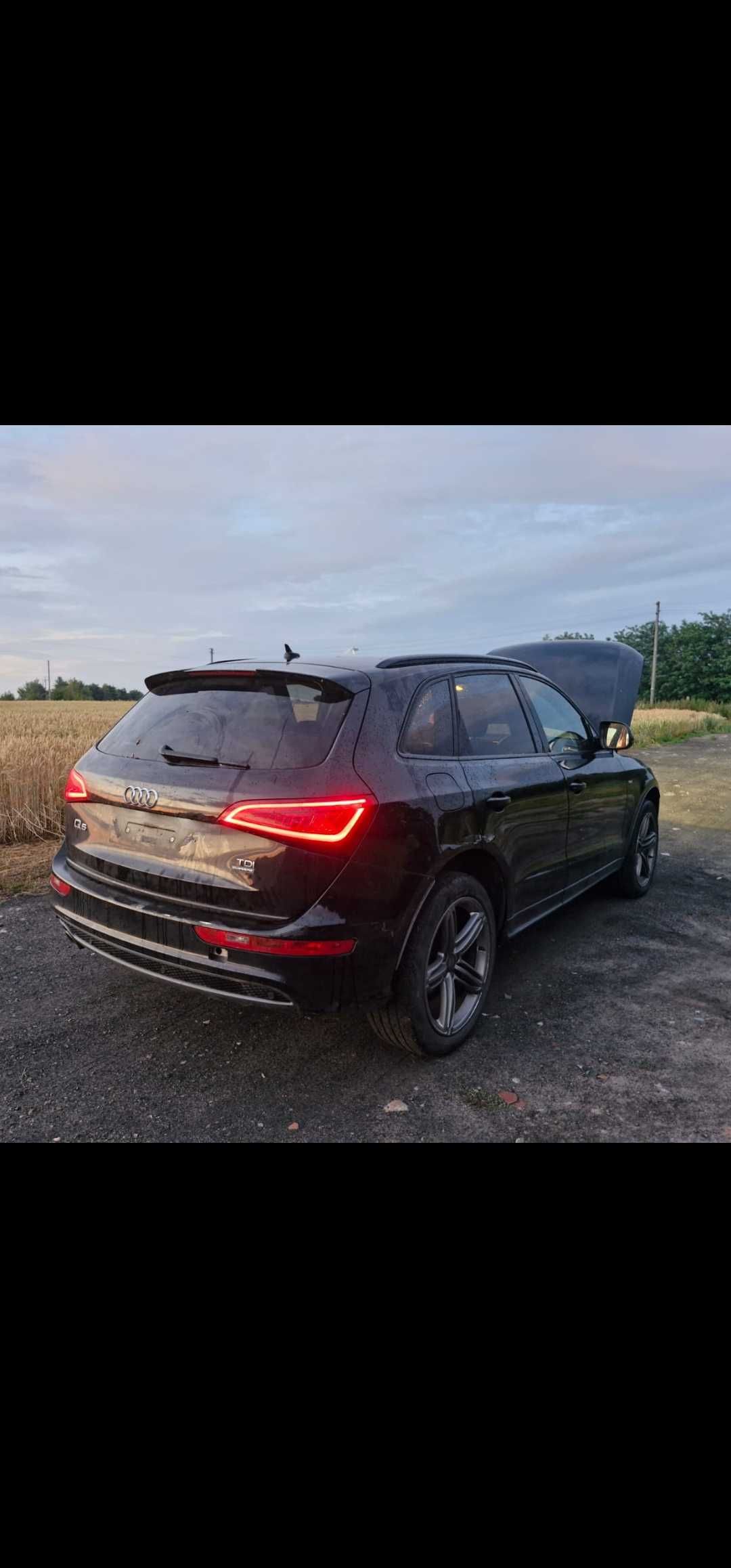 Drzwi Przednie Przód Tylne Prawe Lewe Audi Q5 8R 16r LIFT S-LINE LY9T