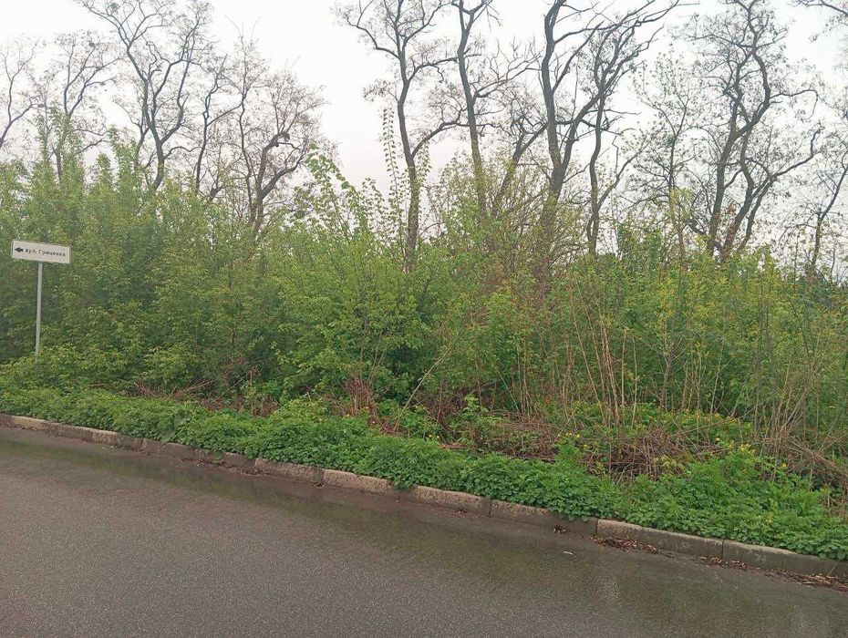 Продам приватизовану земельну ділянку в Малій Данилівці