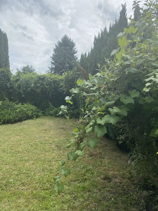 Sprzedam działkę "RODO Ustronie" Świętochłowice