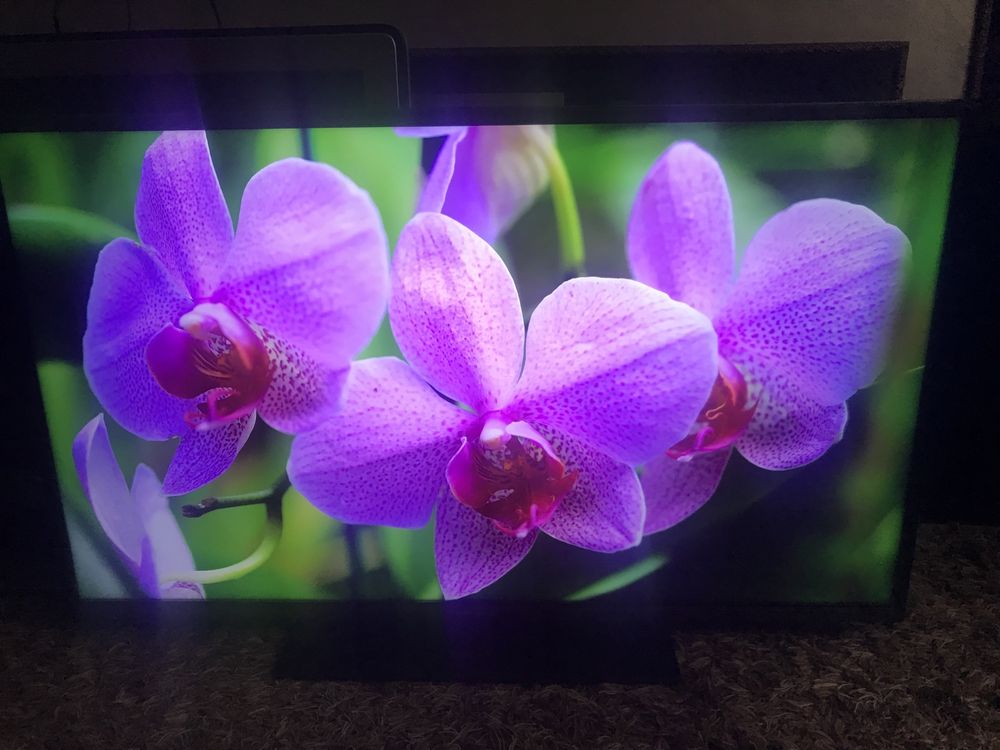Новый Panasonic TX-43JXW604, UHD, 4K, HDR, Smart, YouTube,