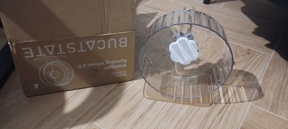 Kołowrotek Bucastate