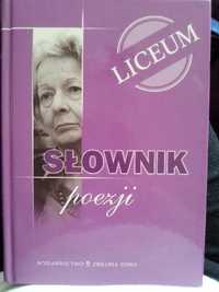 Słownik poezji Liceum - Artur Dzigański