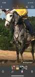 Cavalo Lusitano letra R