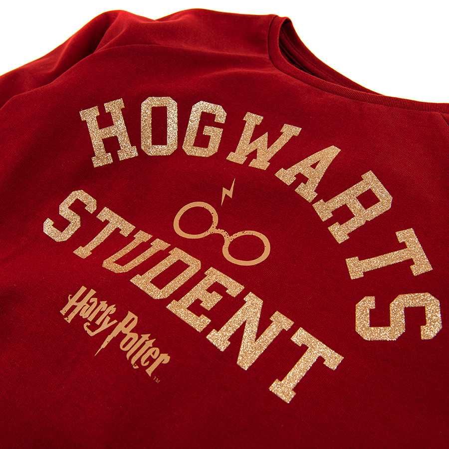 152 Bluza dziewczęca bordo Harry Potter Hogwart Student Smyk Cool Club