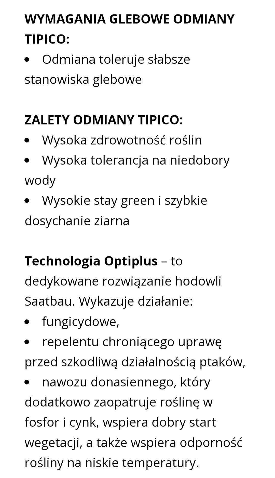 kukurydza nasienna Tipico 230fao240 Saatbau zbliżona do Danubio rabaty