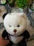 Duży słodki miś panda