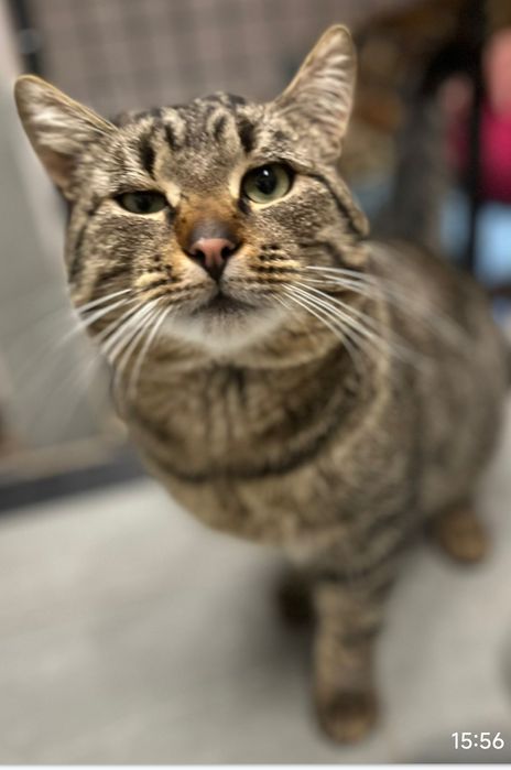 Borys błaga o szansę i dom ...