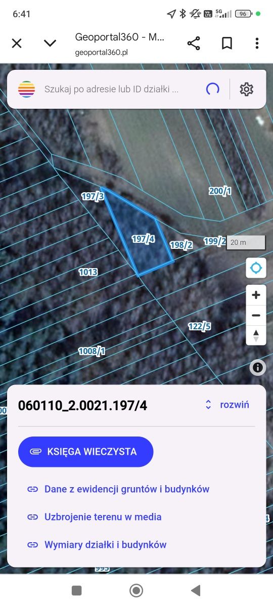 Działka leśna, las brzozowy 45 ar