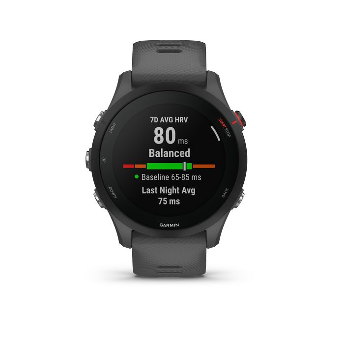 Smartwatch GPS Forerunner 255 Cinzento Ardósia
