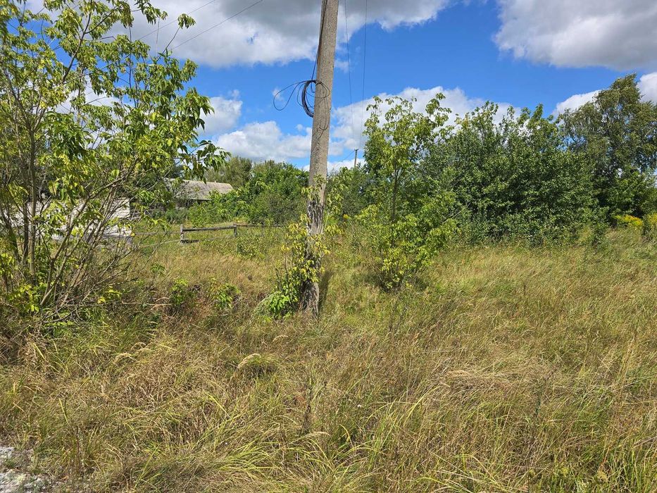 Продаж ділянки 20 сот. Кам'янка (26126076)