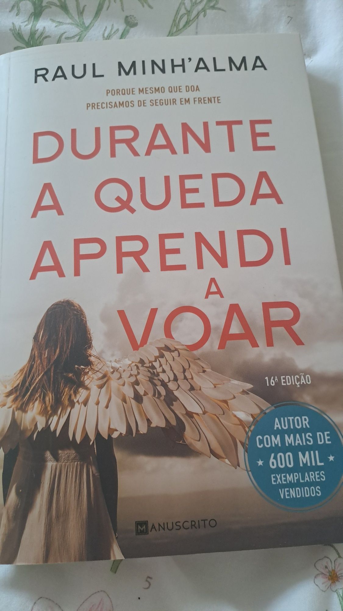 Durante a Queda Aprendi a Voar de Raul Minh'alma