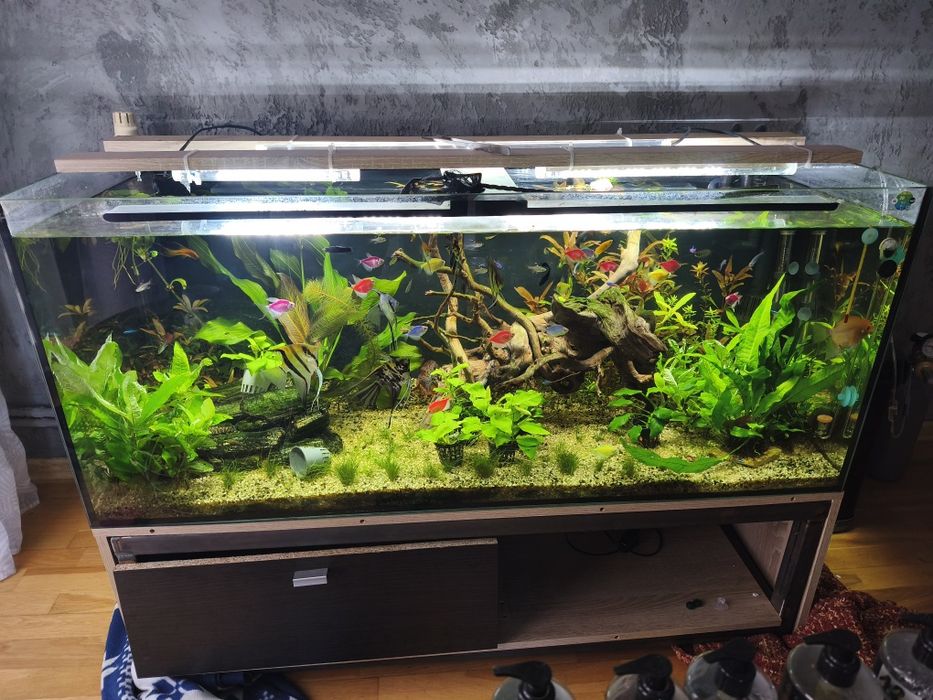 Akwarium 300l że stelażem
