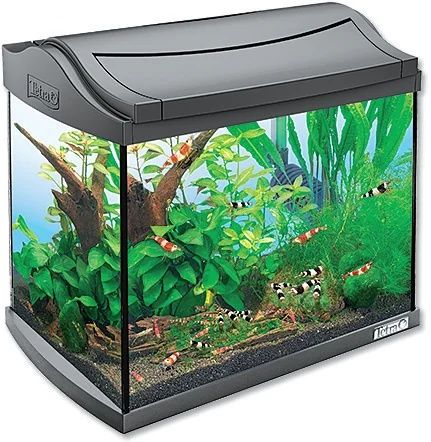Sprzedam akwarium Tetra 60l