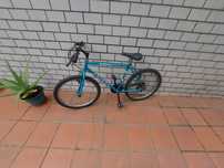 Bicicleta adulto