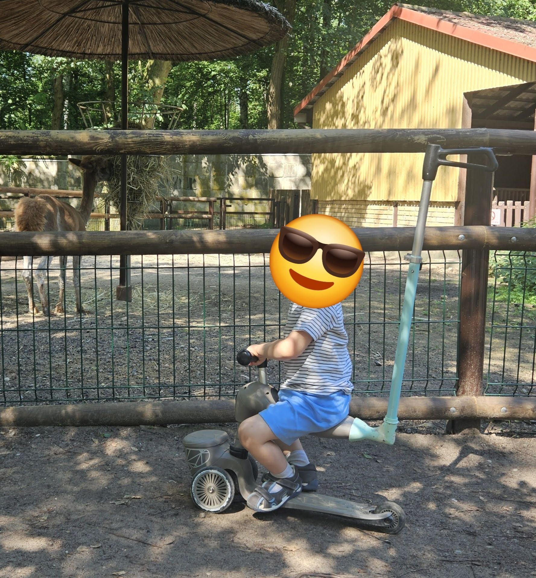 Jeździk i hulajnoga Scootandride