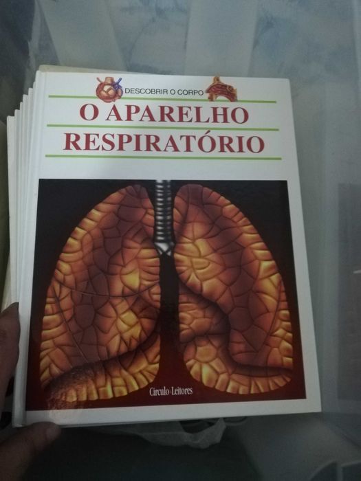 Livro Saúde descobrir corpo humano coleção