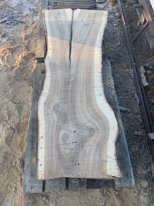 Deski foszty DĘBOWE, dąb monolity