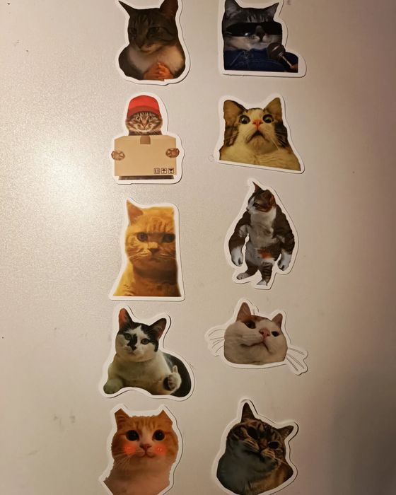 Наліпки котики мемчики