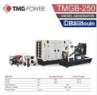 Дизельний генератор TMG Power B250 кВа (200кВт) з АВР Двигун BAUDOUIN