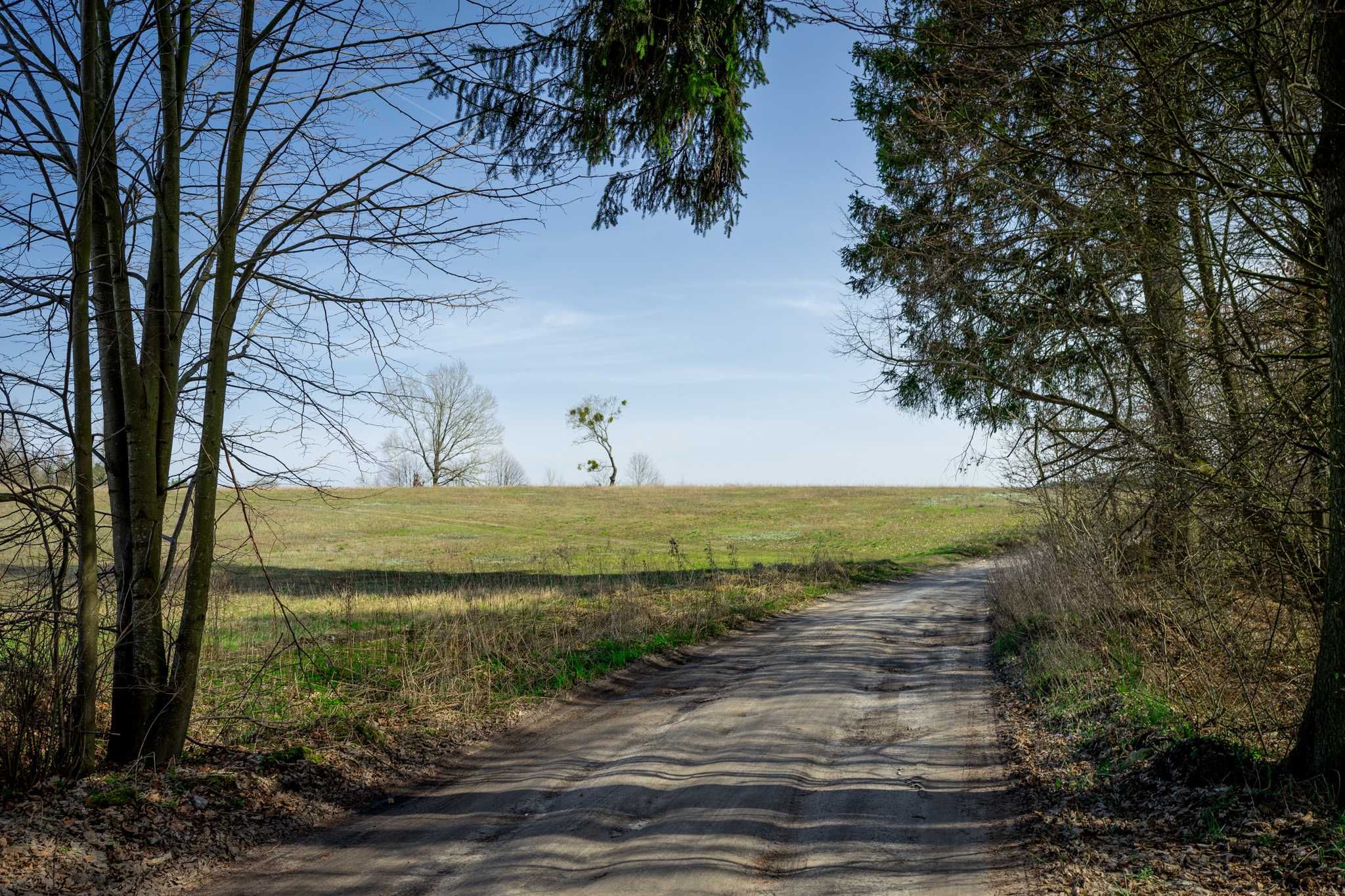 Działka rekreacyjno-budowlana 875m2 nad jeziorem w Borach Tucholskich.