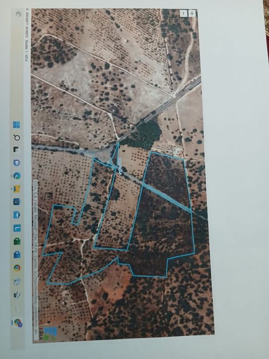 Casa habitável em Alvito com duas propriedades rústicas