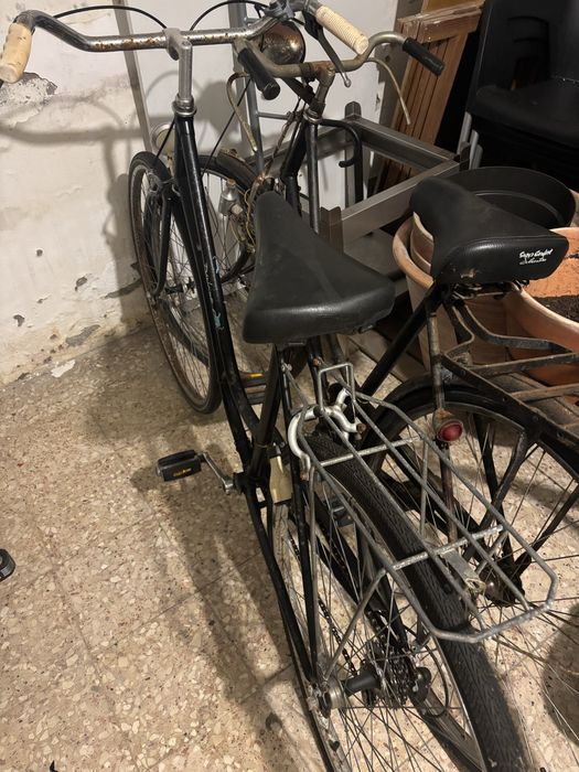 Bicicletas tipo pasteleira