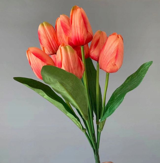 Bukiet Tulipan 10 Łodyg 40 Cm Łososiowy