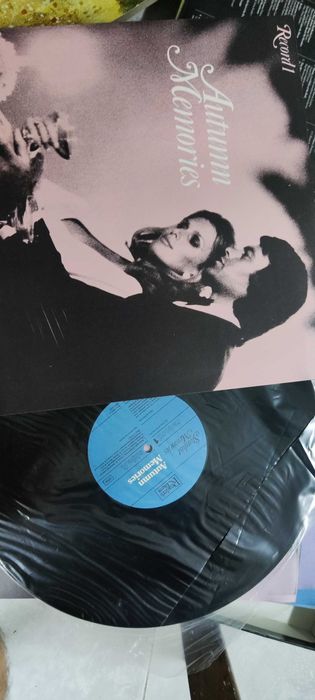 Vinil - Album Stardust Memories -  Conjunto de 7 vinis