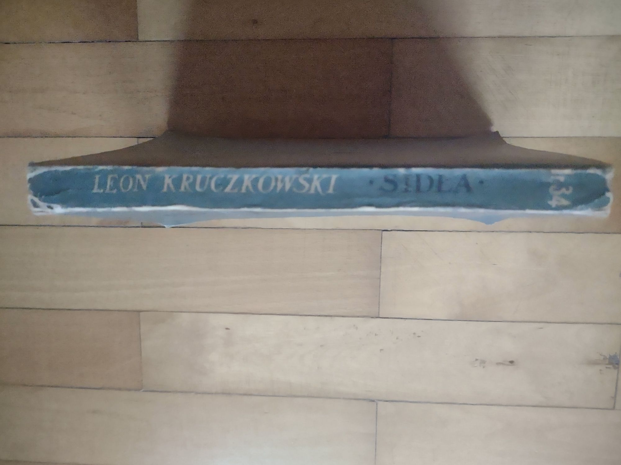 Leon Kruczkowski Sidła