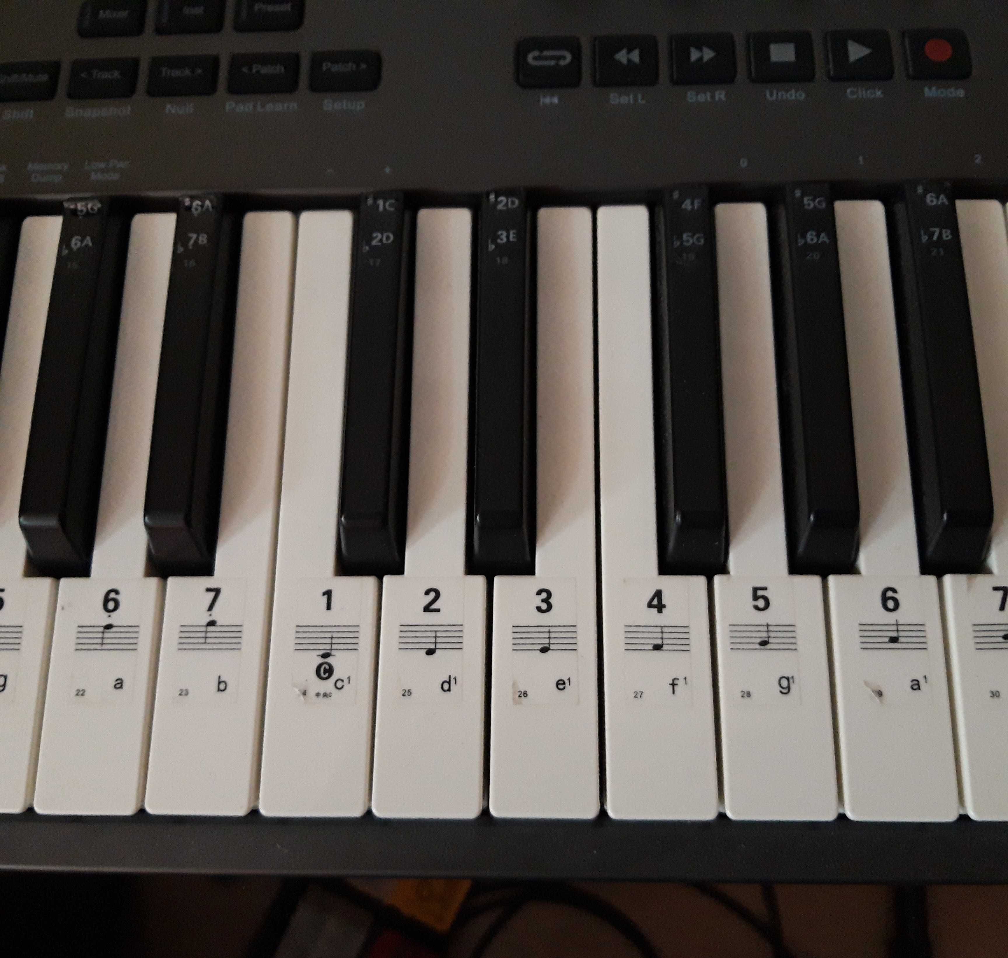 Nektar Impact LX49+ Klawiatura sterująca MIDI