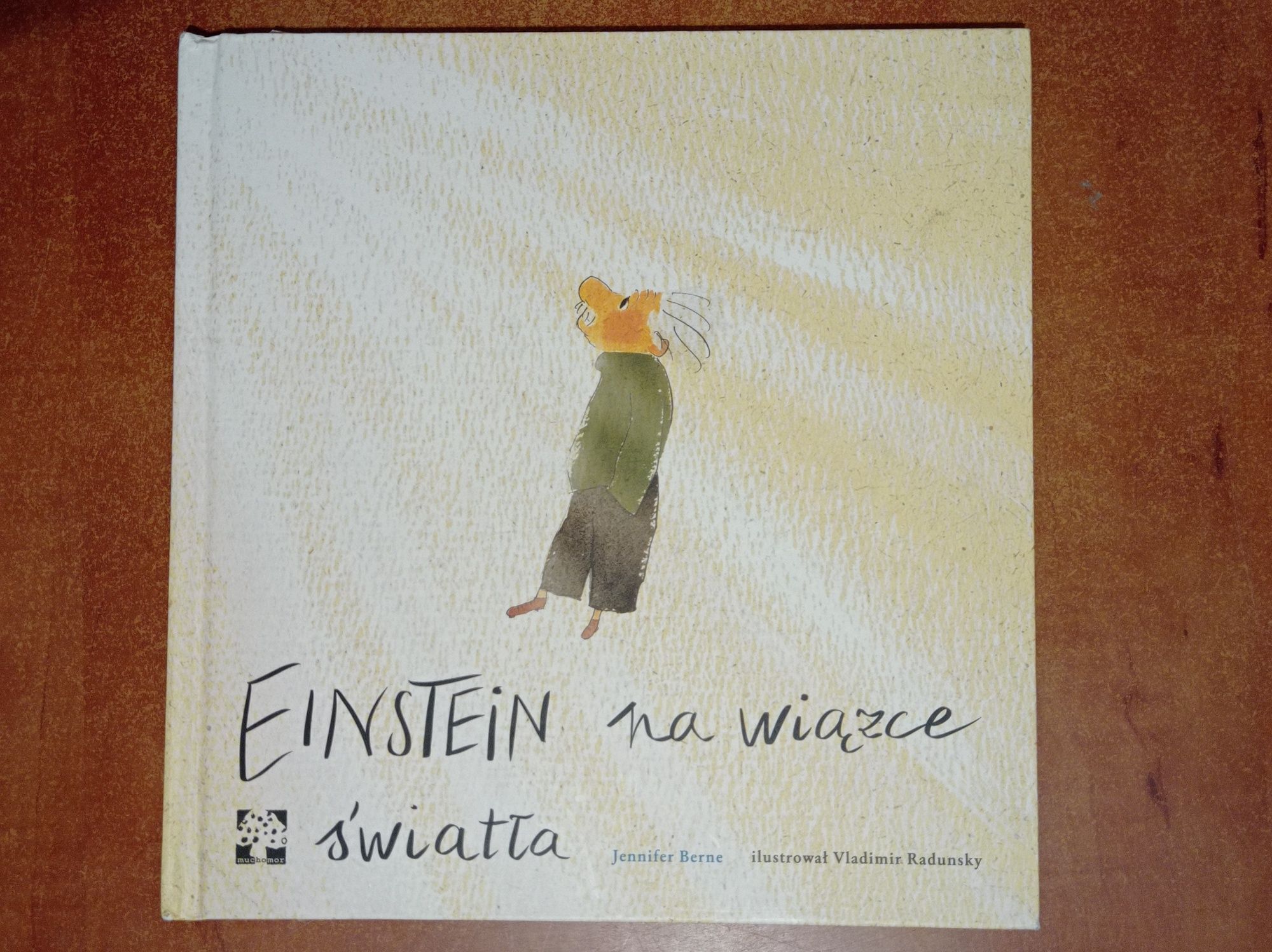 6 książek Einstein na wiązce światła Astrid Lindgren Ulf Stark