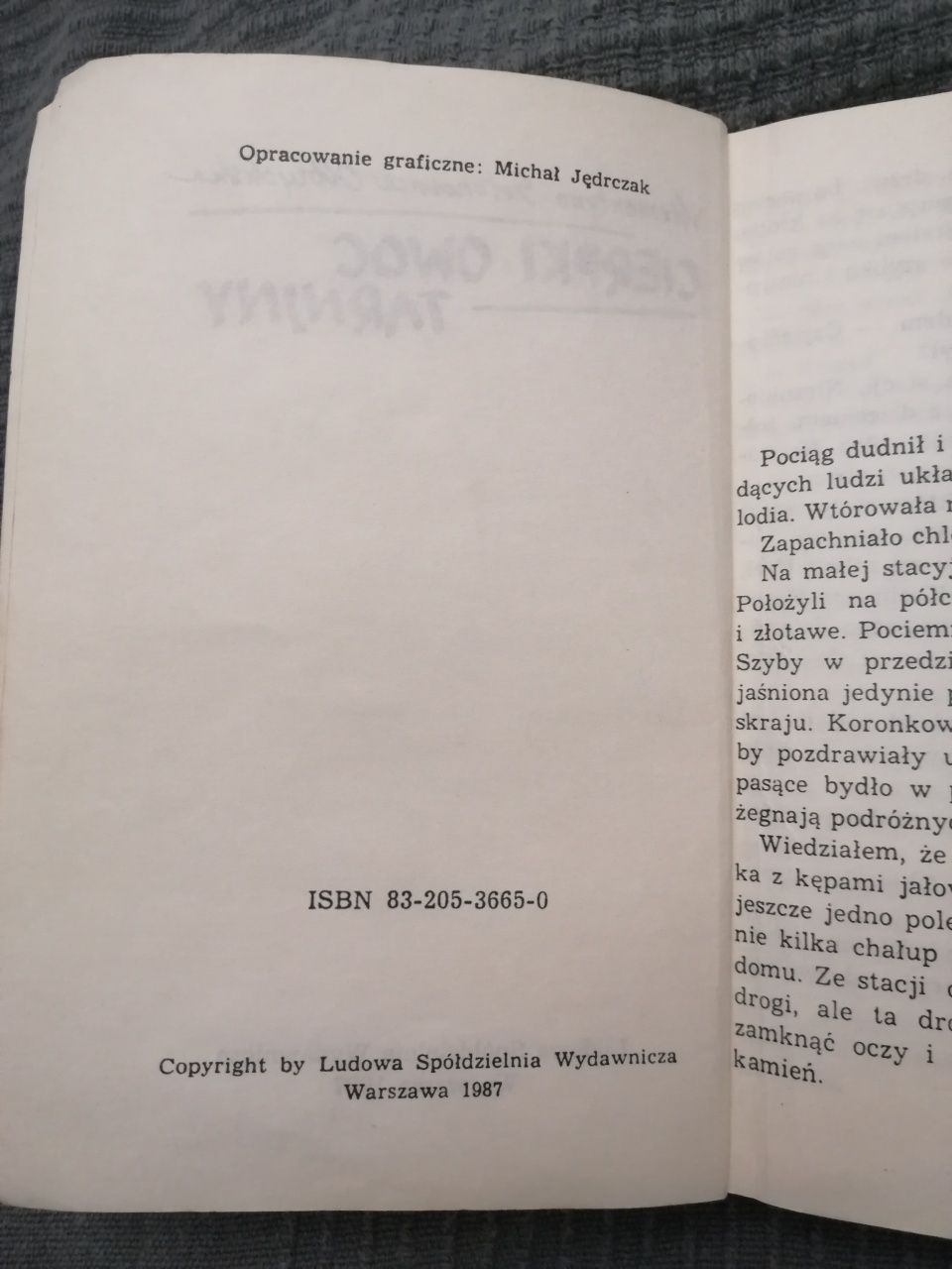 Cierpki owoc Tarniny. Klementyna Sotonowicz-Olbrychska