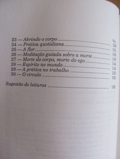 Karma, Consciência e Meditação de Stephen Levine