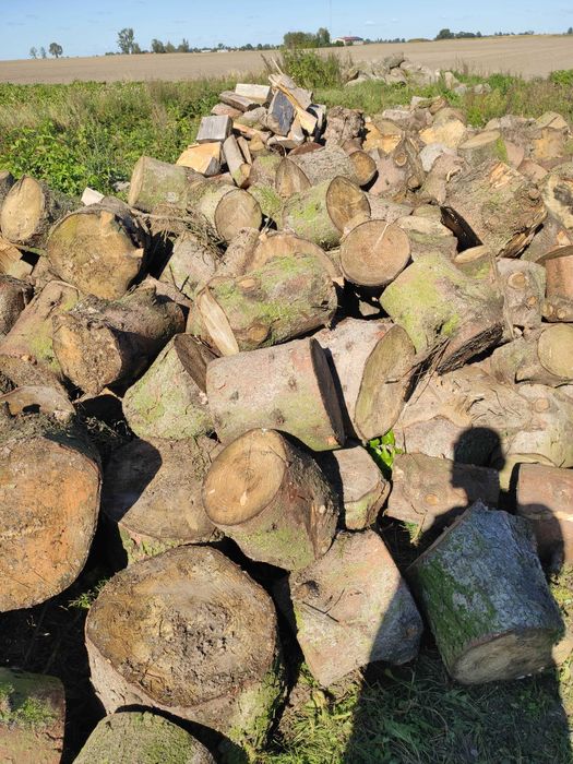 Drewno świerkowe, pocięte, kwiecień '25