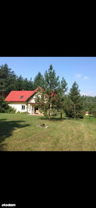 Dom z dużą działką w Ludwikowie - rzuty na końcu zdjęć