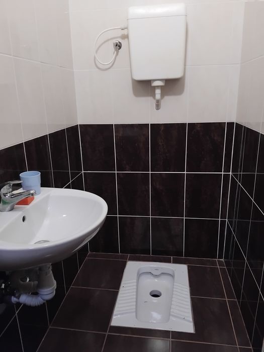 Маєток у горах Карпат с Вовчий Закарпатської області